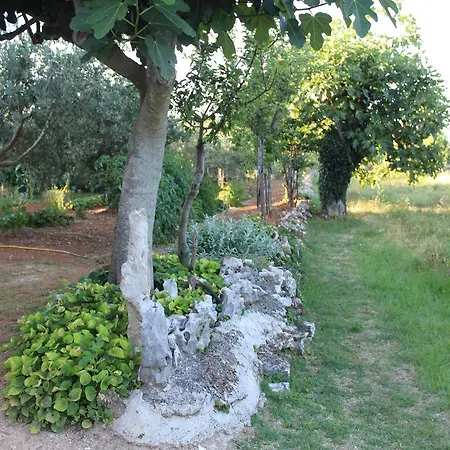 Haus Glavani Daire *