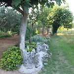 Haus Glavani Apartamento *